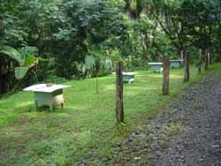 Bee hives